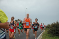 pino_ro__0567
