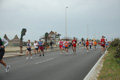 pino_ro__0570