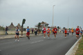 pino_ro__0571