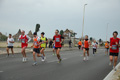 pino_ro__0574