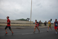 pino_ro__0616