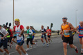 pino_ro__0646