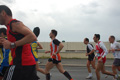 pino_ro__0656