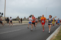 pino_ro__0691
