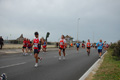 pino_ro__0694