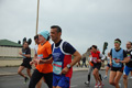 pino_ro__0716