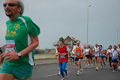pino_ro__0738