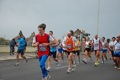 pino_ro__0739
