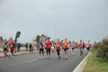 pino_ro__0741