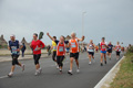 pino_ro__0744