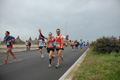 pino_ro__0757