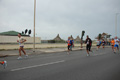 pino_ro__0760