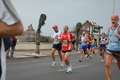 pino_ro__0764
