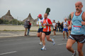 pino_ro__0765