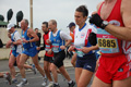 pino_ro__0768