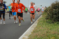 pino_ro__0784