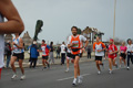 pino_ro__0788