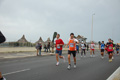pino_ro__0794
