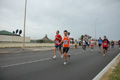 pino_ro__0795