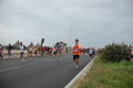 pino_ro__0803