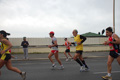 pino_ro__0820
