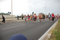 pino_ro__0828