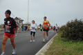 pino_ro__0837