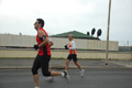 pino_ro__0846