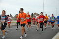 pino_ro__0847