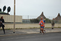 pino_ro__0859