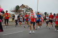 pino_ro__0861