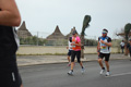 pino_ro__0872