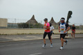 pino_ro__0873