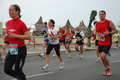 pino_ro__0874