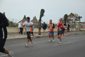 pino_ro__0876