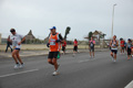 pino_ro__0880