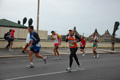 pino_ro__0886