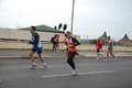 pino_ro__0887