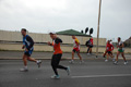 pino_ro__0888