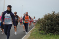 pino_ro__0891