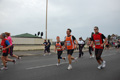 pino_ro__0974