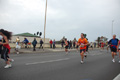 pino_ro__0976