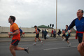 pino_ro__0978