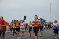 pino_ro__1009