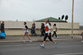 pino_ro__1028