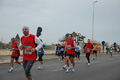 pino_ro__1035
