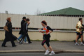 pino_ro__1041