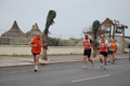 pino_ro__1053