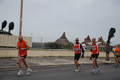 pino_ro__1056