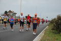 pino_ro__1064